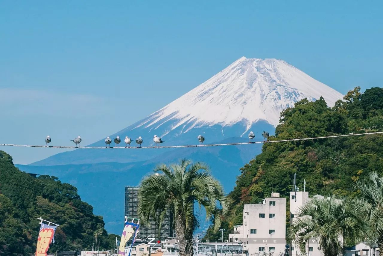 伊豆西海岸 與富士山隔海相望 一邊寫詩一邊旅行 微文庫
