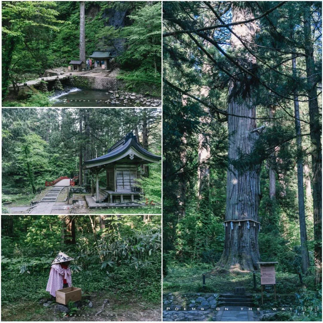 山形 出羽三山 经历死亡与重生 一边写诗一边旅行 微信公众号文章阅读 Wemp