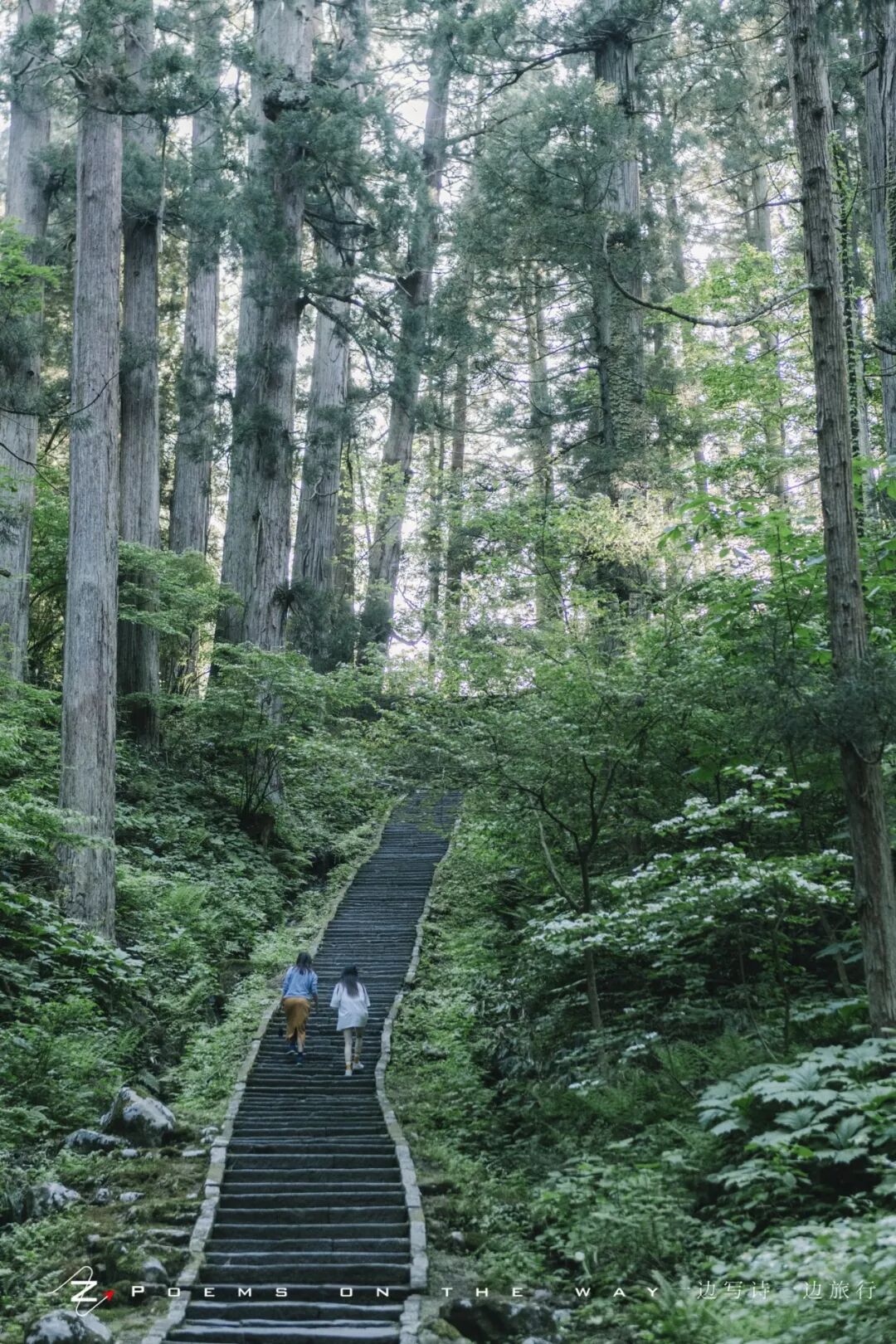 山形 出羽三山 经历死亡与重生 一边写诗一边旅行 微信公众号文章阅读 Wemp