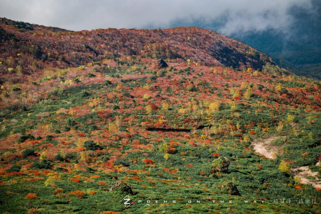 那须岳 红叶季超人气登山 全网搜