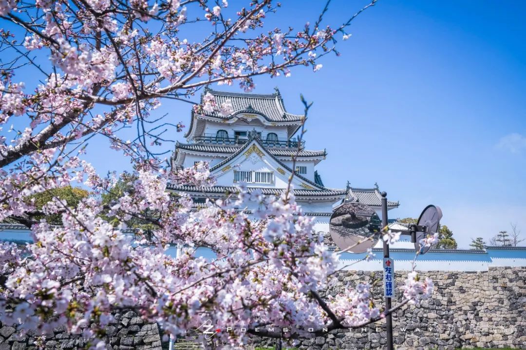 枯山水的杰作 岸和田城八阵之庭 一边写诗一边旅行 微信公众号文章阅读 Wemp