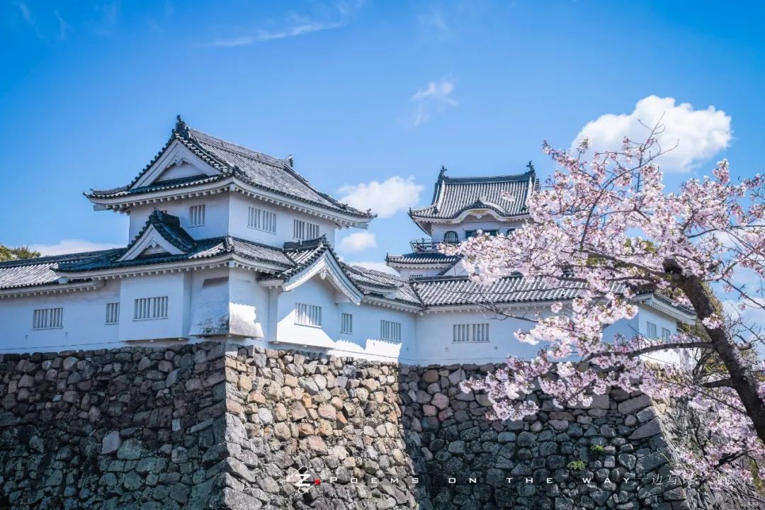 枯山水的杰作 岸和田城八阵之庭 一边写诗一边旅行 微信公众号文章阅读 Wemp