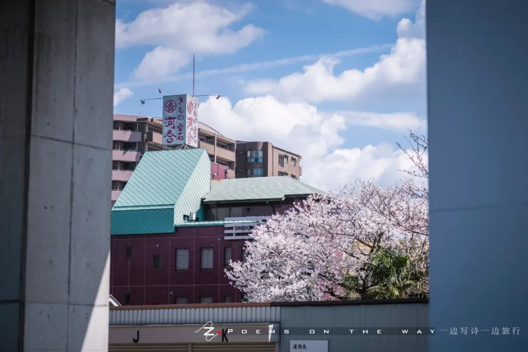 枯山水的杰作 岸和田城八阵之庭 一边写诗一边旅行 微信公众号文章阅读 Wemp