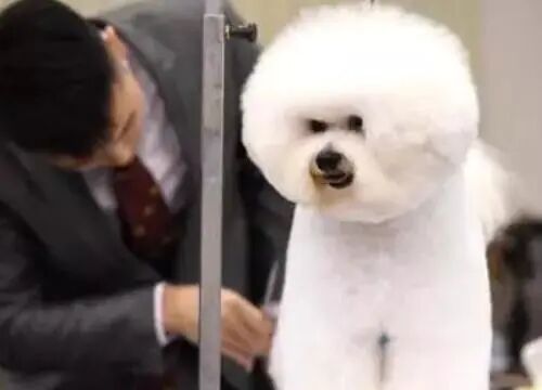 优质小资本创业项目_不要错过这四个小本创业项目_投资热门的小创业开店项目