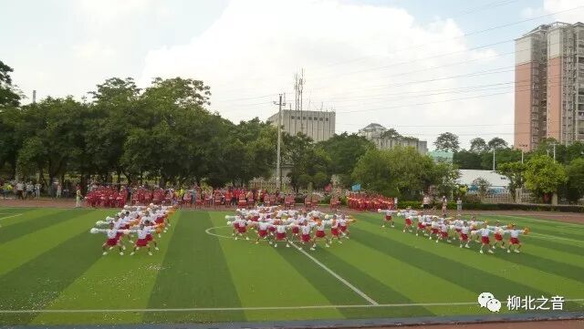 5 胜利小学的啦啦操队曾于2017年参加全国啦啦操联赛（柳州站比赛），与各地高手过招，勇夺两个冠军，一个亚军_副本.jpg