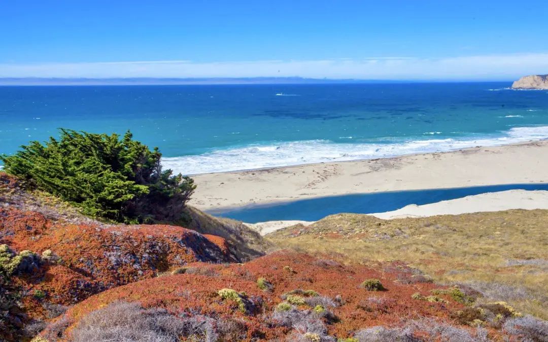 海岸地貌_海岸地貌有几种类型_海岸堆积地貌