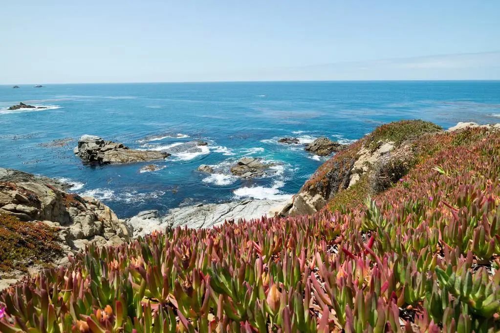 海岸地貌_海岸地貌有几种类型_海岸堆积地貌