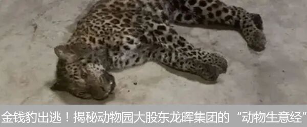 再见，IE浏览器！25年产品历史终结-浏览器ie选项在哪里