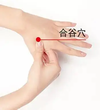 秋季鼻炎高发,做到这4点,鼻炎无法再近身! 秋季鼻炎高发,做到这4点,鼻炎无法再近身!