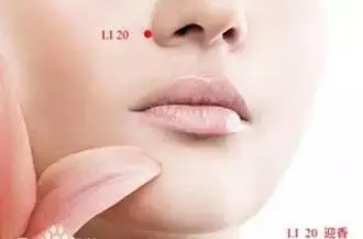 秋季鼻炎高发,做到这4点,鼻炎无法再近身! 秋季鼻炎高发,做到这4点,鼻炎无法再近身!