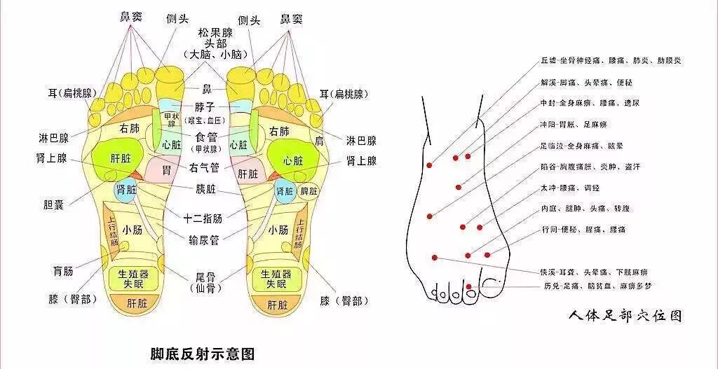 春天洗脚,升阳固脱;夏天洗脚,暑湿可祛;秋天洗脚,肺润肠濡;冬天洗脚