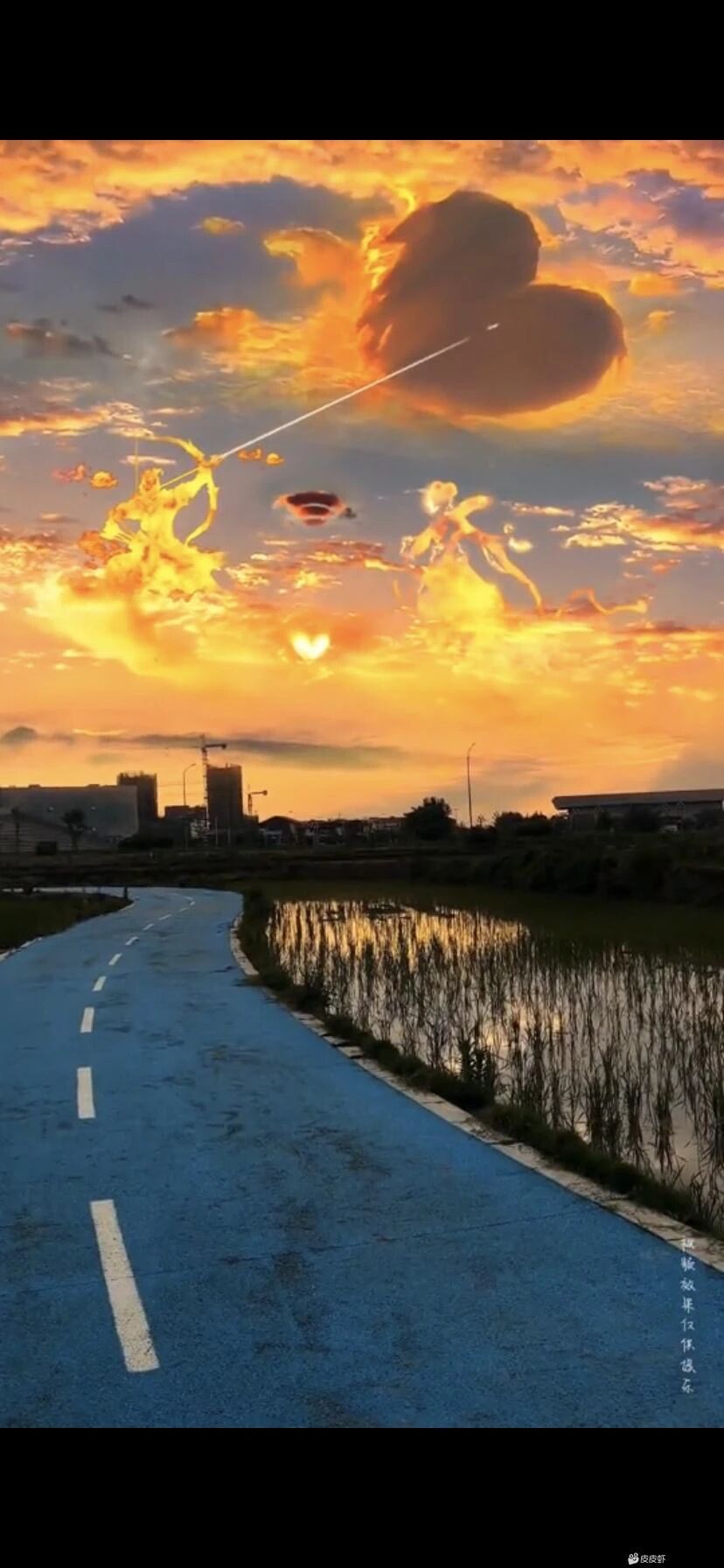 远方14456