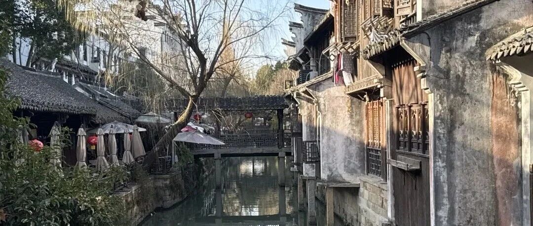 【Watertown】Shanghai's Best Kept Secret | Authentic Fengjing Watertown Private Day Trip 枫泾水乡私人一日游 上海最