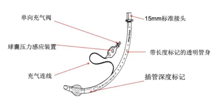 医用气管有哪些7个常规气管导管结构细节和6种特殊类型的气管导管_https://www.jmylbn.com_新闻资讯_第2张