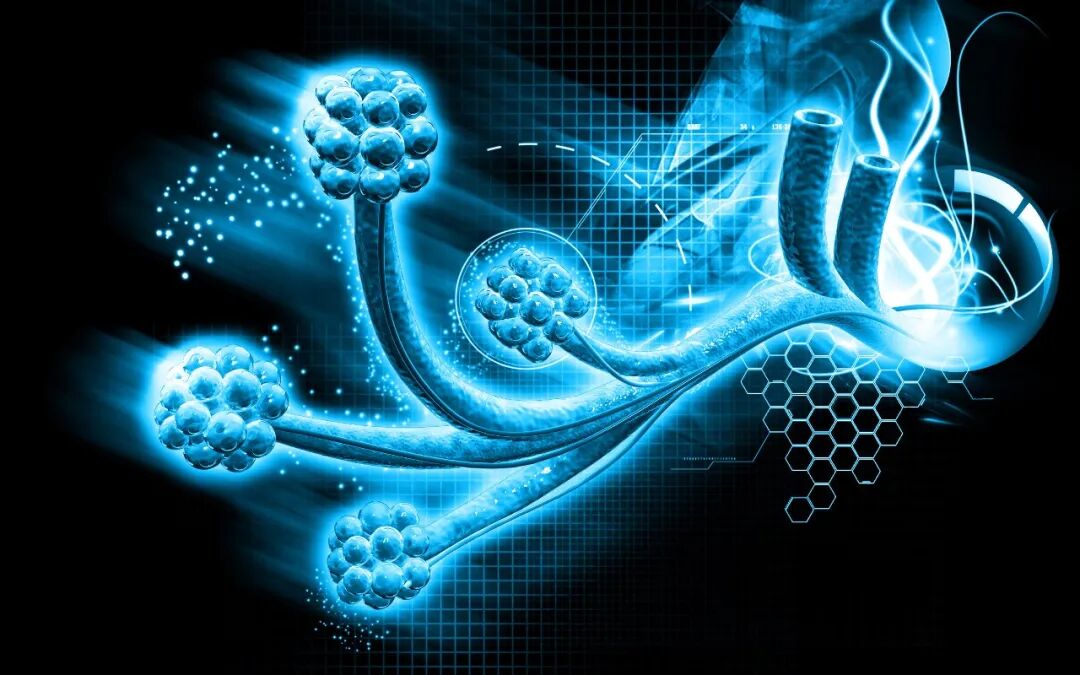 怎么呼吸麻醉学习麻醉的基本功 ｜ 了解呼吸功能监测都有哪些项目？_https://www.jmylbn.com_新闻资讯_第1张