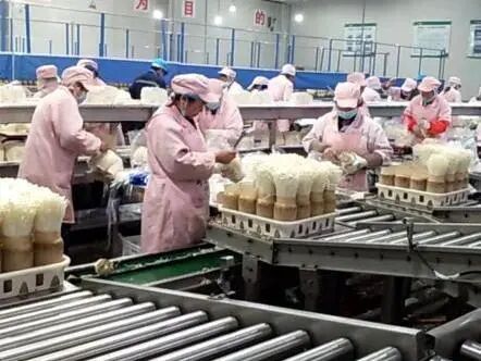 「产业」引领群众奔小康 江苏泗阳：大力发展富民产业