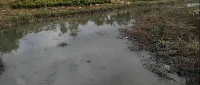 5个典型案例，被点名了！