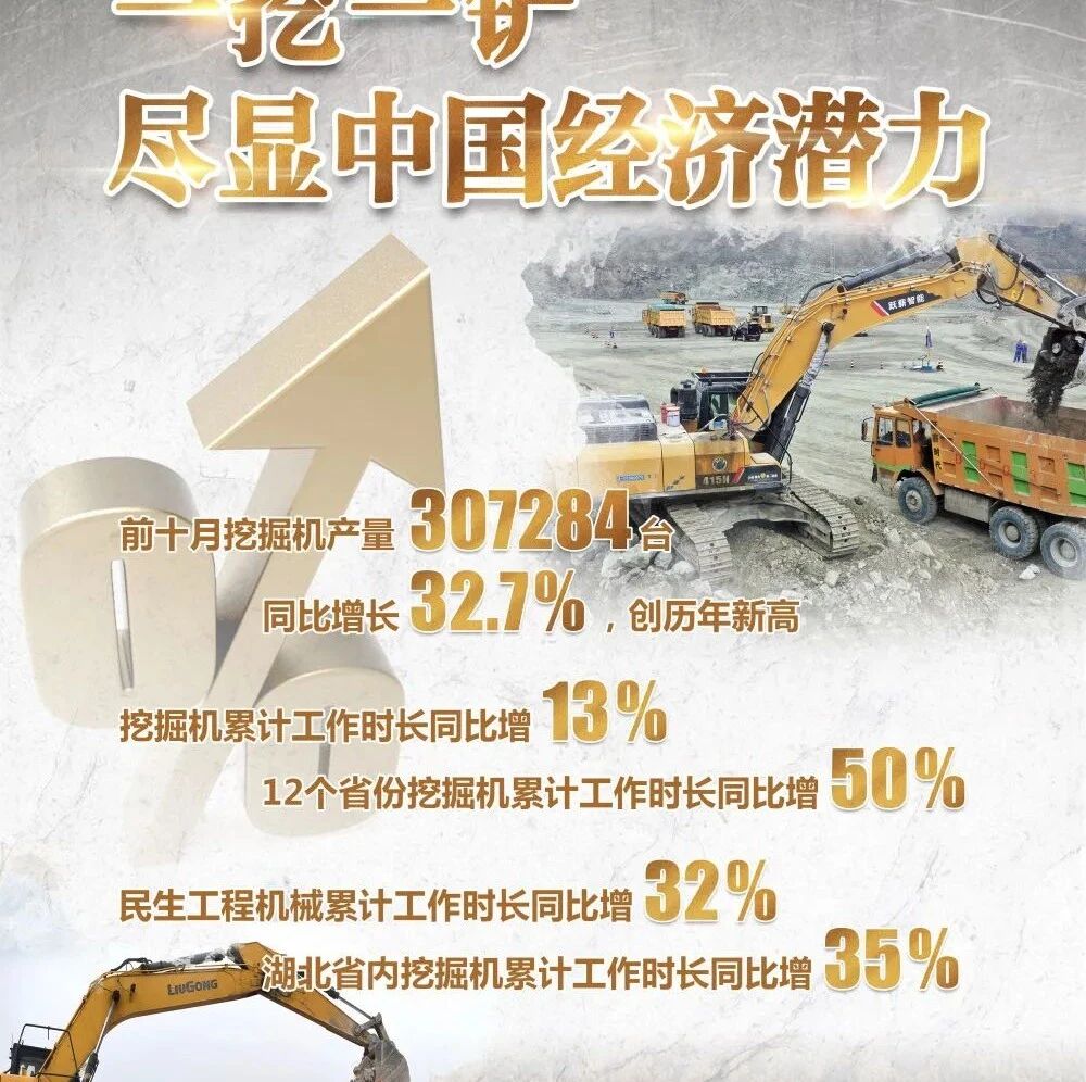 逆风破浪的中国经济·晴雨表|春江水暖“机”先知