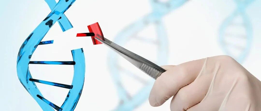 重磅！基因编辑、人工智能等技术研发将得到规范｜视点深度