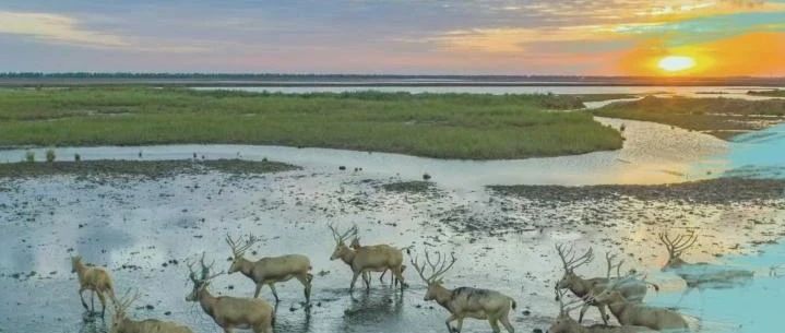 中国的山、林、田、湖、草、沙开始“登记”