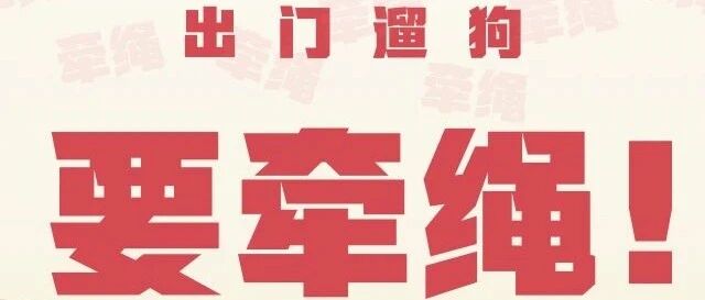 5月1日起，遛狗不牵绳违法!