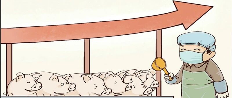 “二师兄”，请慢走！