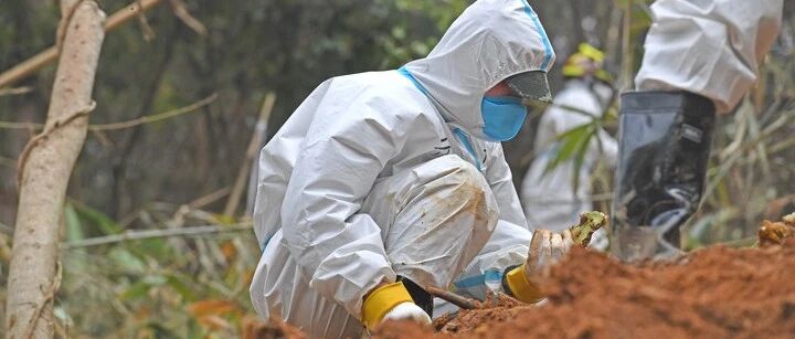 有关东航坠机事故的十个疑问，权威回应在这里｜视点深度