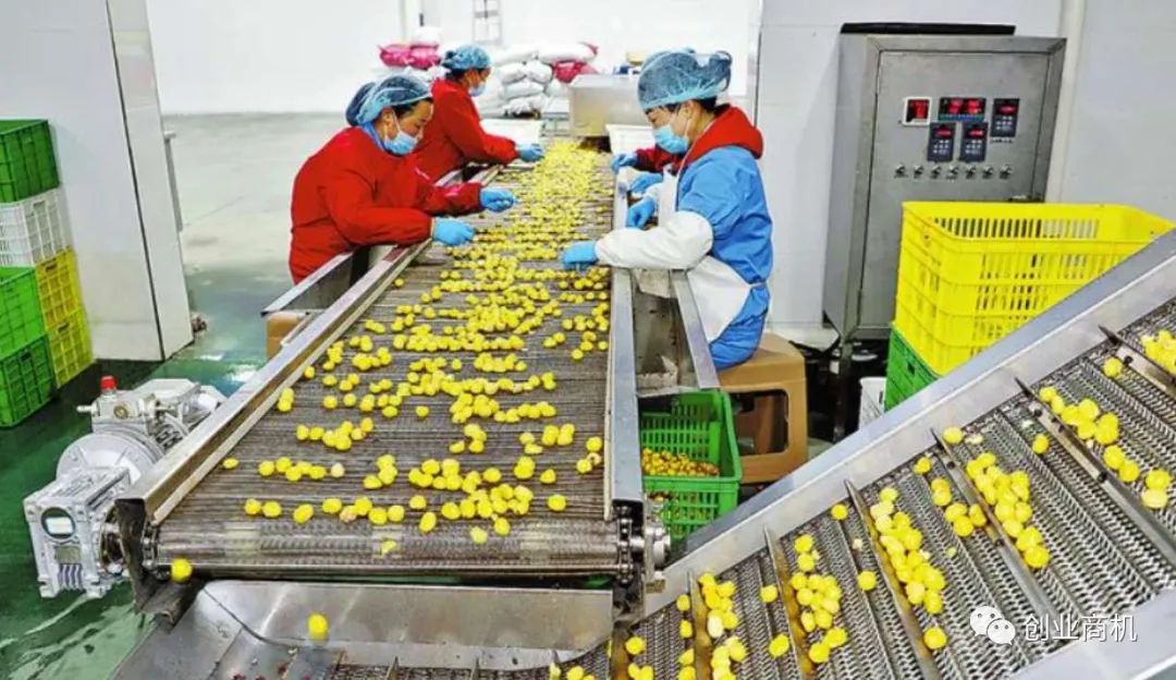 农村加工创业项目 春节后想自主创业，在农村办个小加工厂，有哪些项目可以选择？