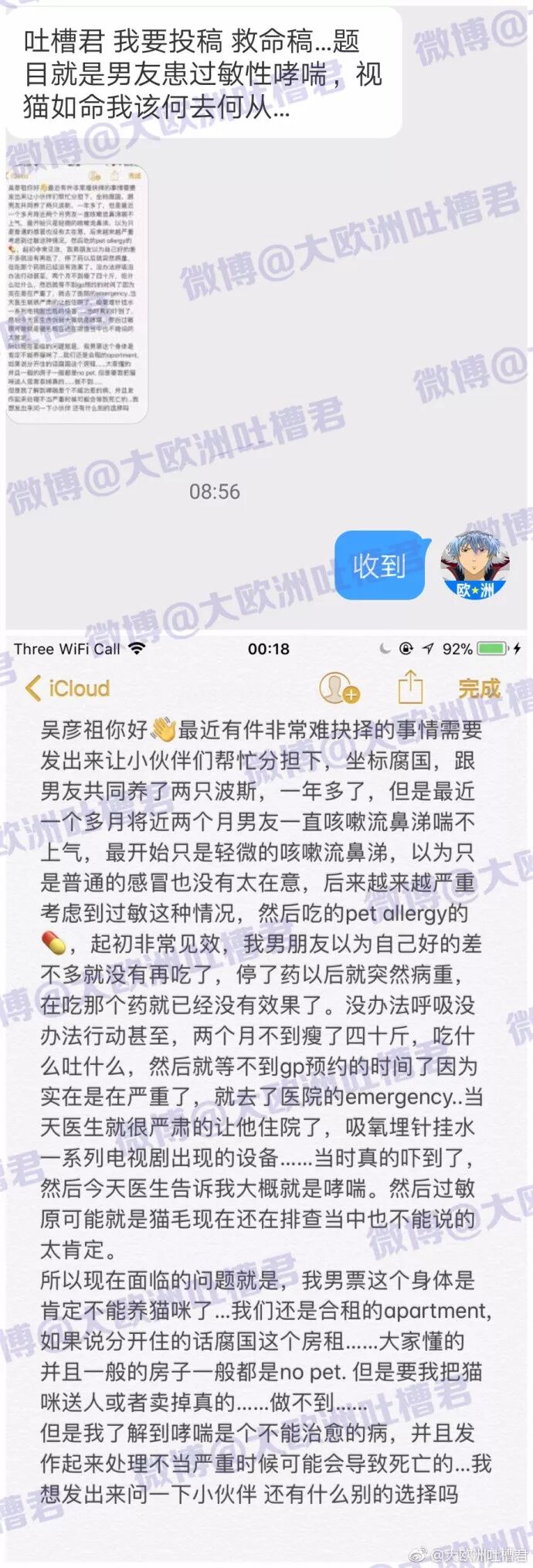 男友患过敏性哮喘，视猫如命的我该何去何从？ - 1