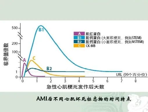 myo医学上指什么心肌三项：Myo、cTnI、CKMB 临床意义_https://www.jmylbn.com_新闻资讯_第4张
