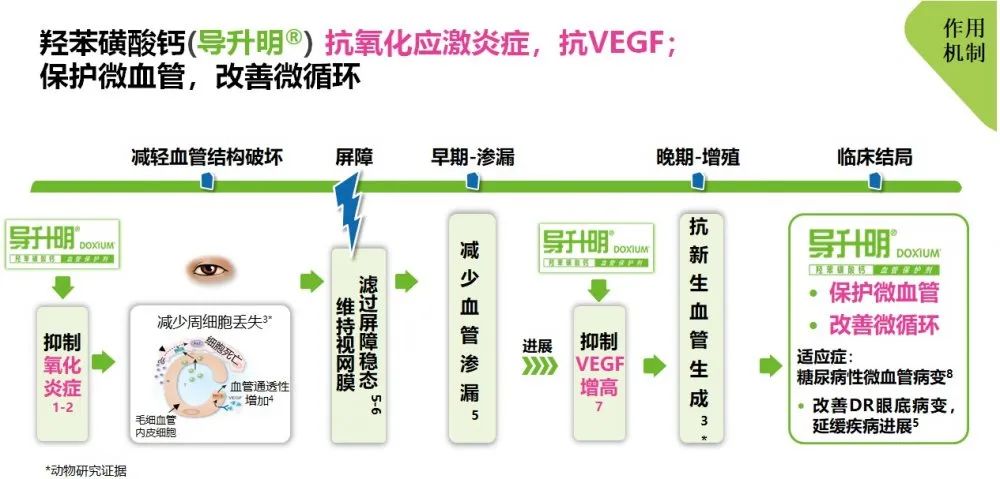 疫情漸遠，糖網患者應盡早行動，守護眼健康刻不容緩！ 健康 第3張