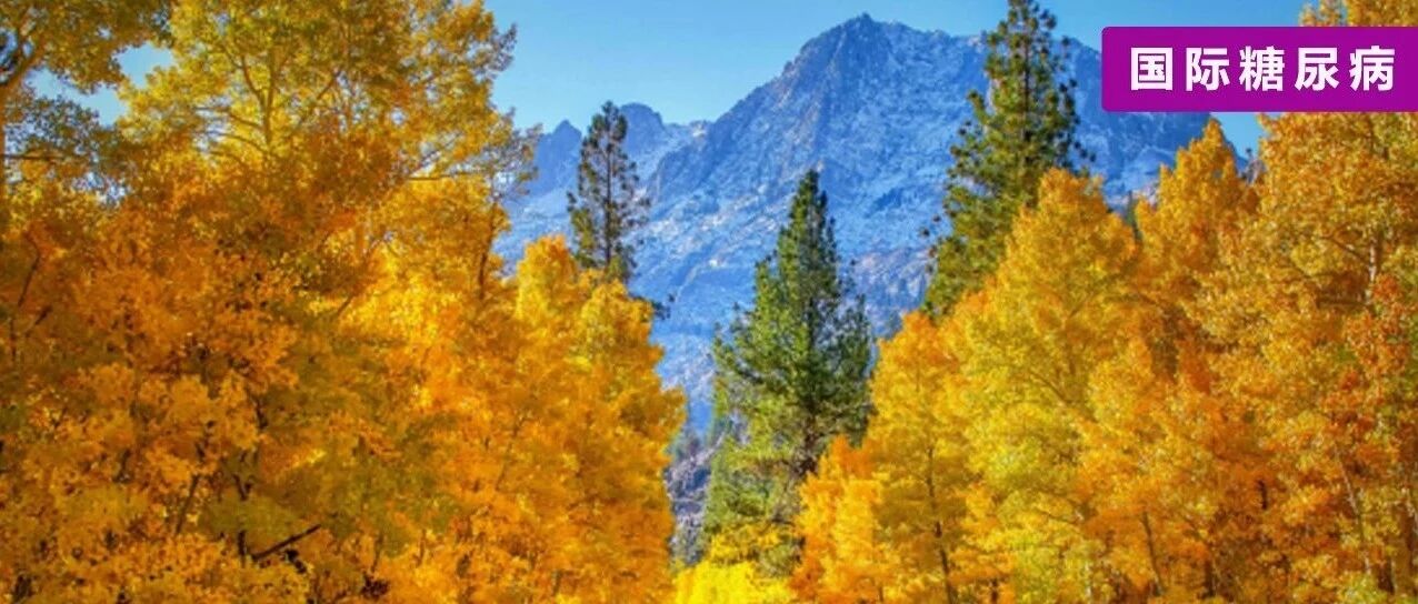 长寿的秘诀可能藏在一个意想不到的地方