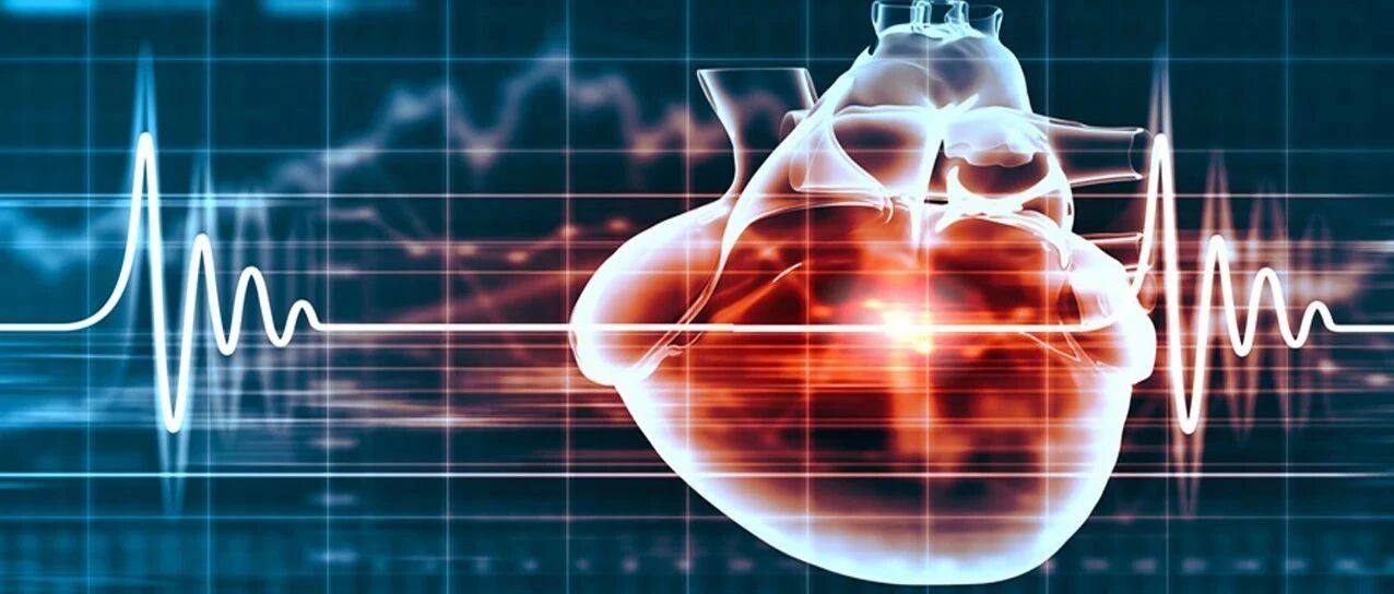 大咖论道：二甲双胍的临床实践是听ADA的，还是ESC/EASD的？