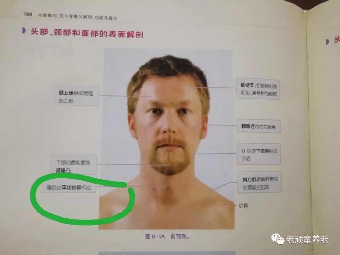 吞咽治疗仪怎么用吞咽障碍丨吞咽障碍电刺激治疗仪 Vital Stim 相关治疗细节_https://www.jmylbn.com_新闻资讯_第2张