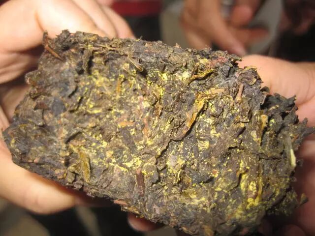 黑茶有很好的降血脂功能