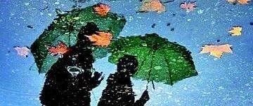 阵风8级+雷雨！最新雷电、霜冻预警，注意这些事