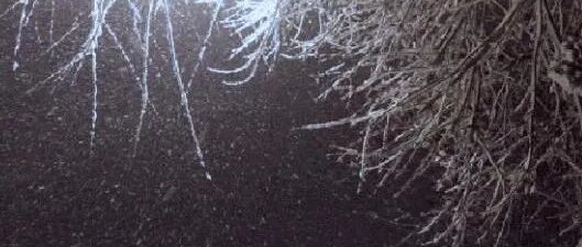 雪+降温！未来三天…