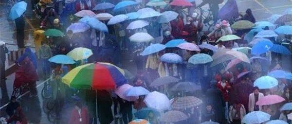阵雨+雷阵雨+大风！降温来了，注意这些事