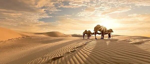 新高铁来了！中午西安吃泡馍，傍晚银川烤羊肉…