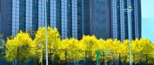 最新！河北这所高校要部省共建，祝贺！