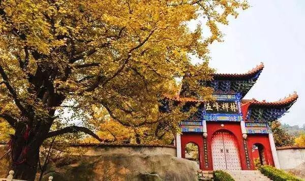 物品移交单_物品移交单范本_物品移交单表格怎么做