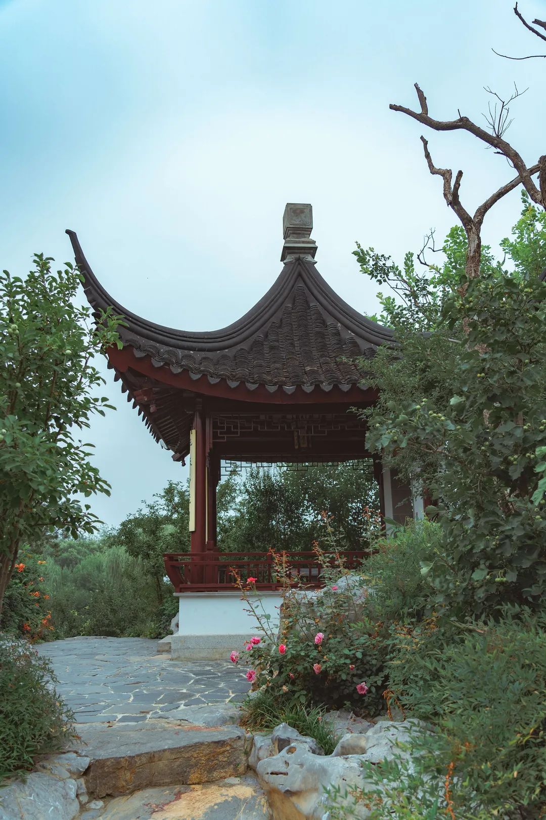 小暑倏忽温风至因循小暑来