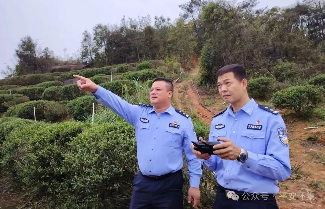 图片 图片
