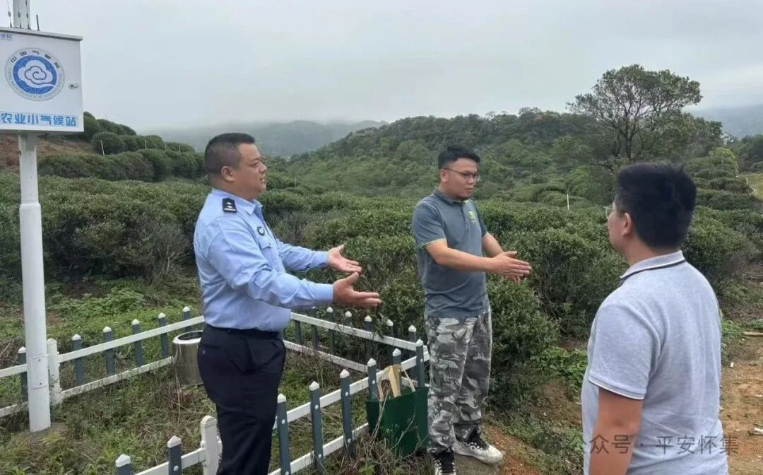 图片 图片