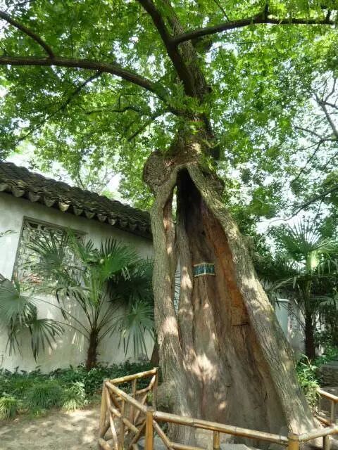 【园林欣赏】中国园林艺术欣赏（二）