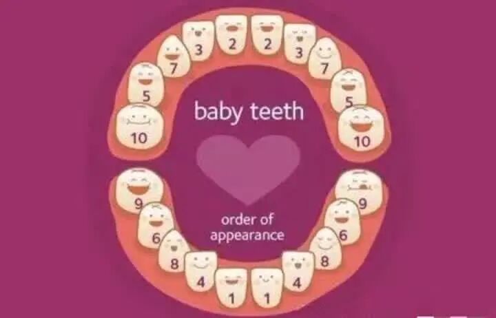 乳牙牙髓感染的根管治疗技术，这几点能帮助到你！