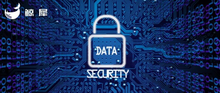 安恒信息高级副总裁刘博：如何为数字化，从 0 到 1 加上“安全防火墙”