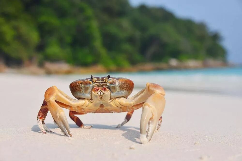 壳聚糖凝胶效果怎么样都在问的“擦伤／划伤／摔伤用什么不留疤”？答案来了_https://www.jmylbn.com_新闻资讯_第4张