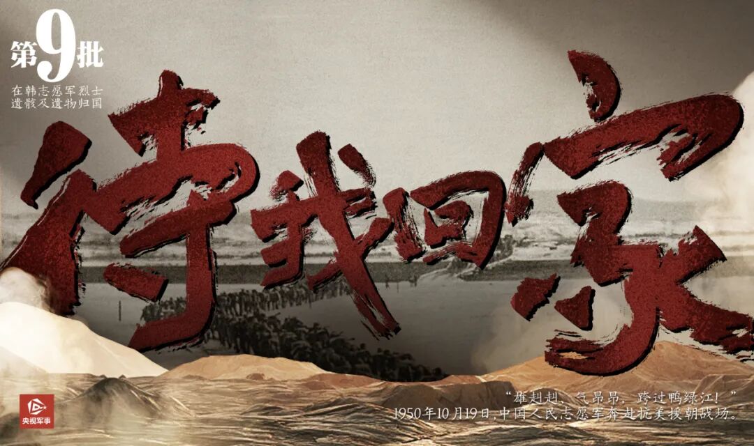 明天带英雄回家