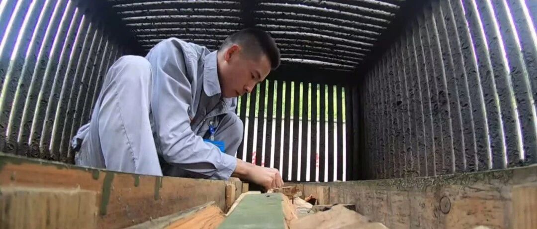 大山深处，这些军人跟“死神”过招！